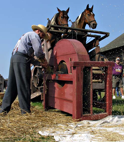 Horse Driven Threshing
