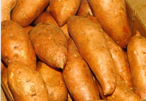 Premium Sweet Potatoes